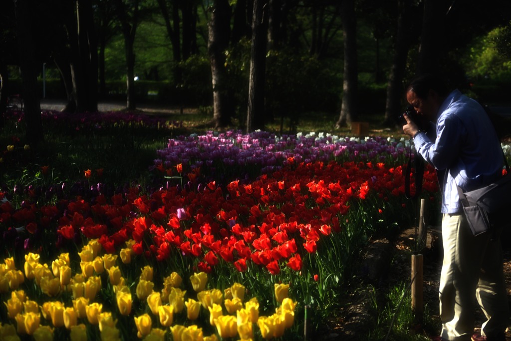 ヴォルールドゥフルール/1