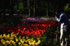 ヴォルールドゥフルール/1