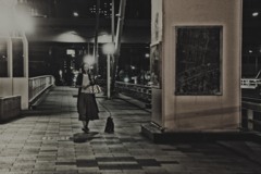 night wind