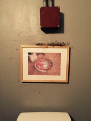 散文のような存在証明