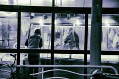 鮮魚店/午後6時7分