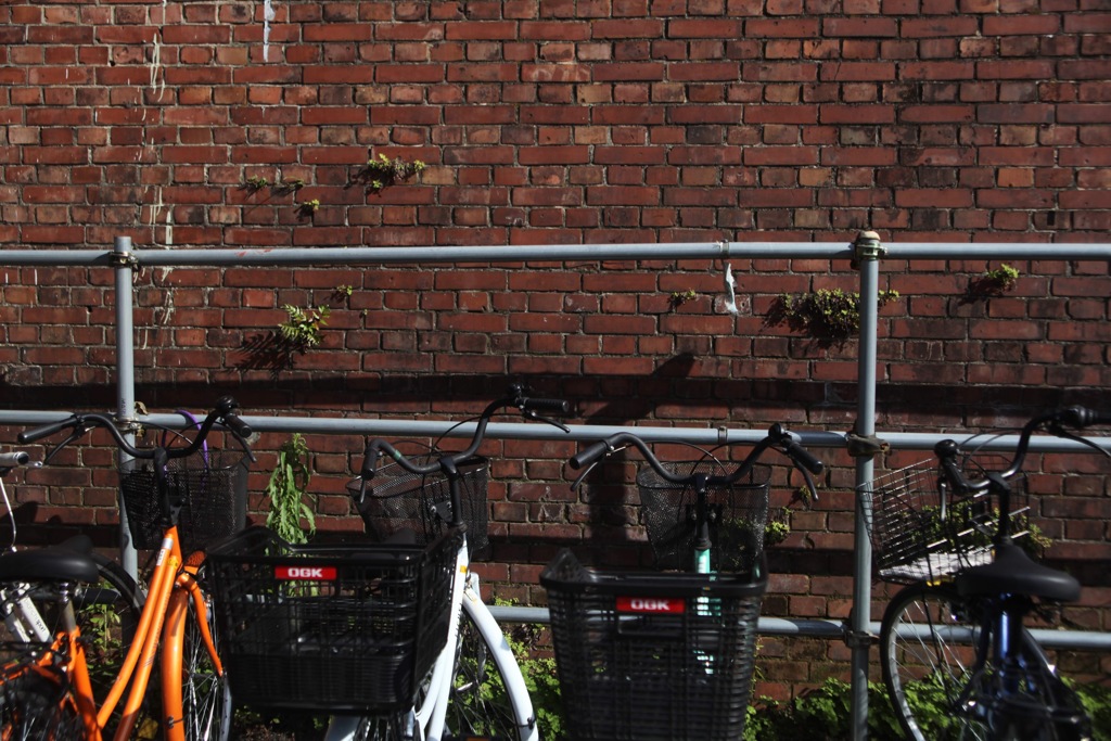 ホテル カリフォルニア