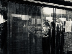 ファイト、闘う君の唄を