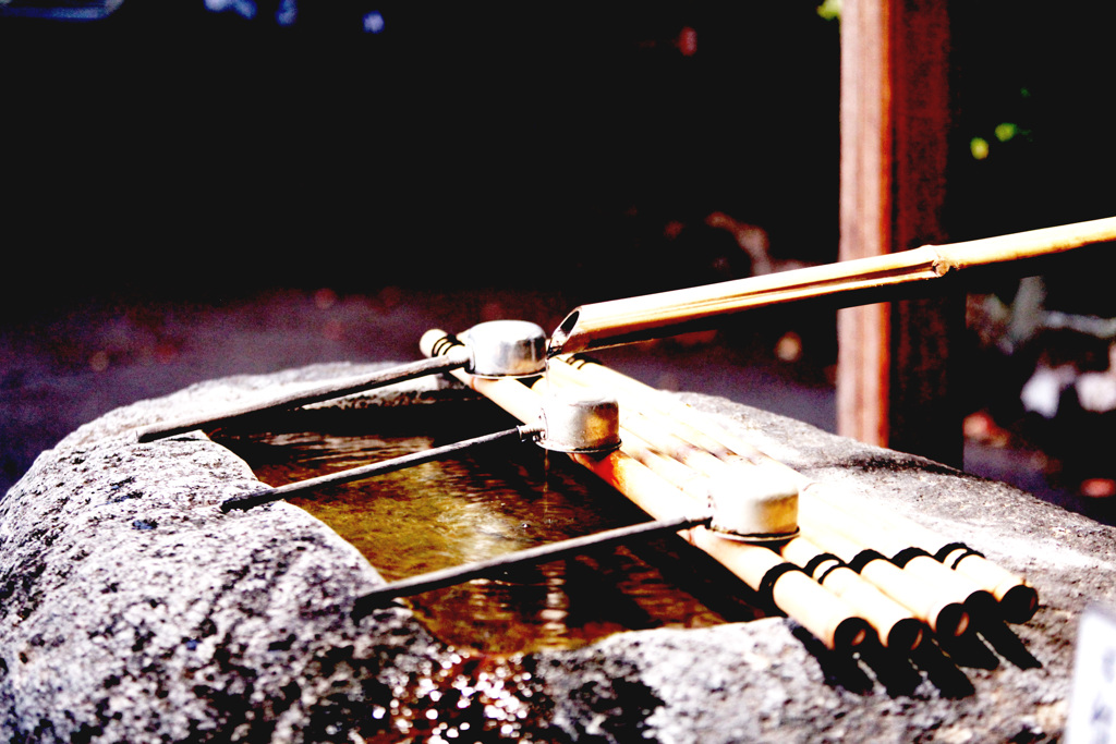 静かを掬う手酌たち