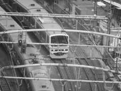 crossing