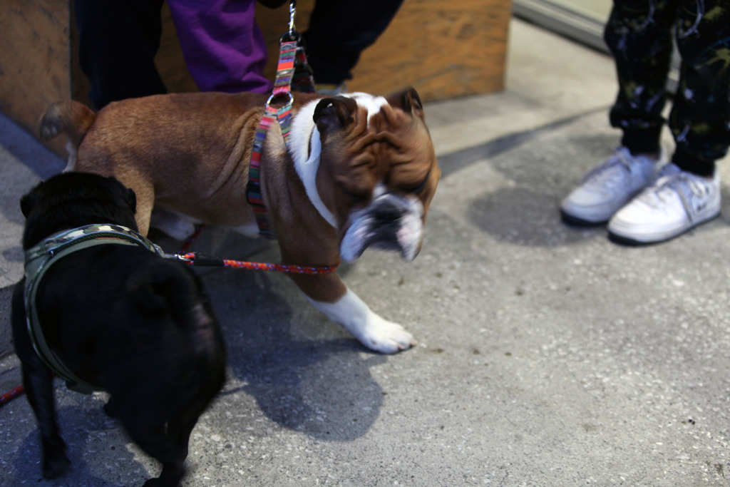 "さつっ"　とかわす