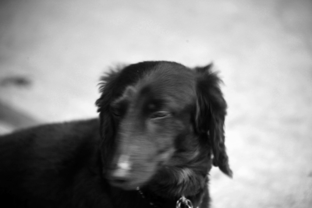 ぶるんん、ぶるん