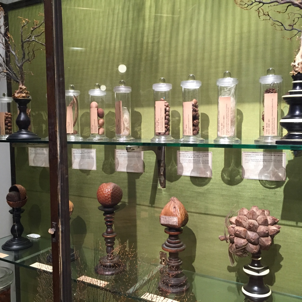 小川洋子的世界-2/2