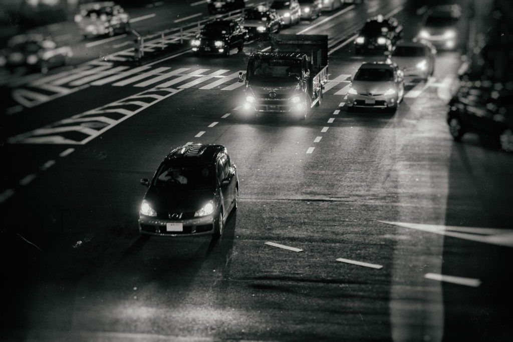 ナイト・バード