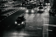 ナイト・バード