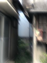 記憶の雨