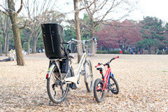 赤トンボの唄をうたった空は