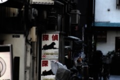 ギムレットには早すぎる