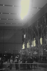 ｱﾀﾞﾑの林檎たち