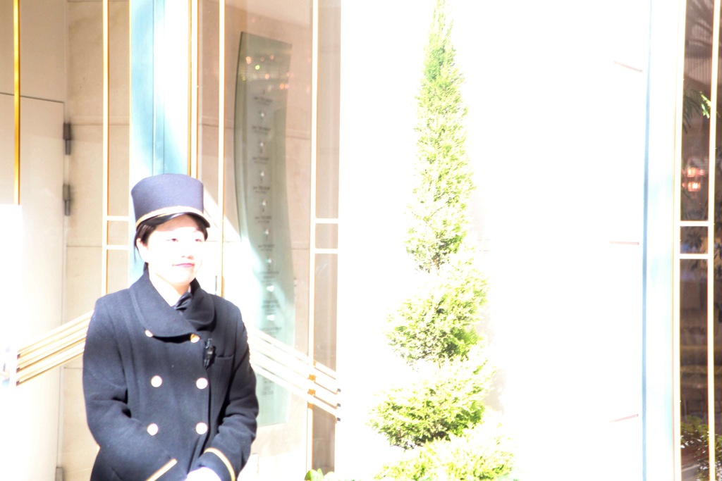 ひざしの中で輝いて