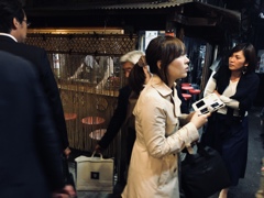 インディ・マドンナ／横丁の伝説