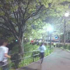 chasing