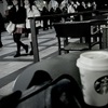 Me and Julio Down by the S-Bucks