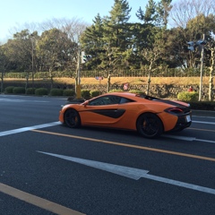 マクラーレン理論