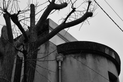 黎明期的近代建築