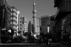 墨東奇譚のゆくえ