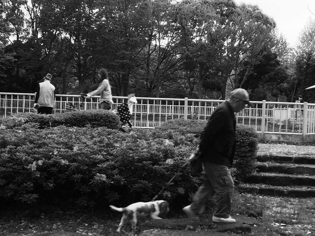 めぐり逢う時間たち