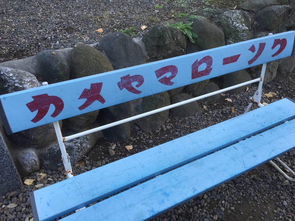 カメヤマ・・・右京さんの"相棒"亀山さん?