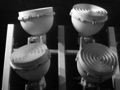 ふぞろいの4人兄弟