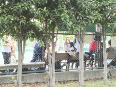 草原の輝き 花の栄光