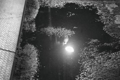 ハレーションするアスファルト