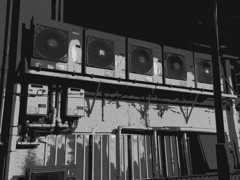 真夏のクインテット
