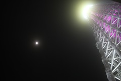 明日、月の上で