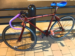 neon fixie