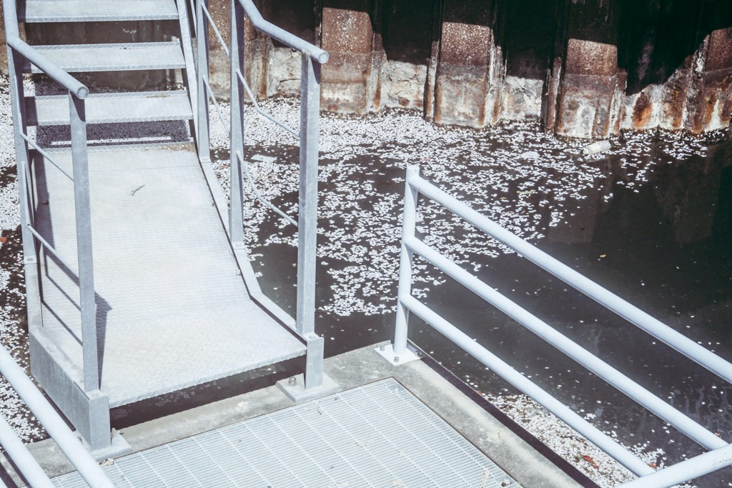 春はやってくるのに