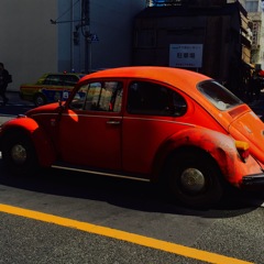 red hot chili beetle