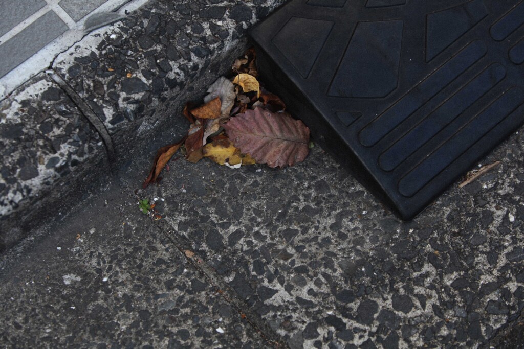 ひっそりとオータム