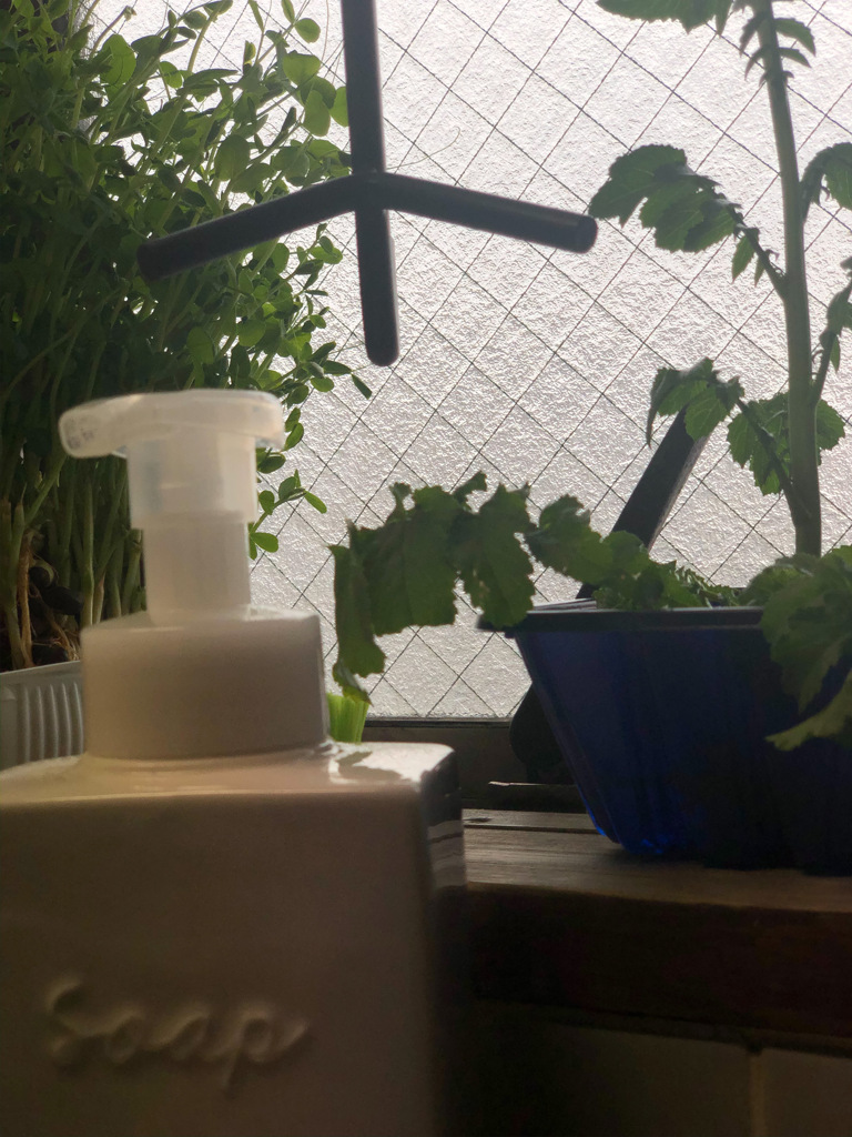 soap