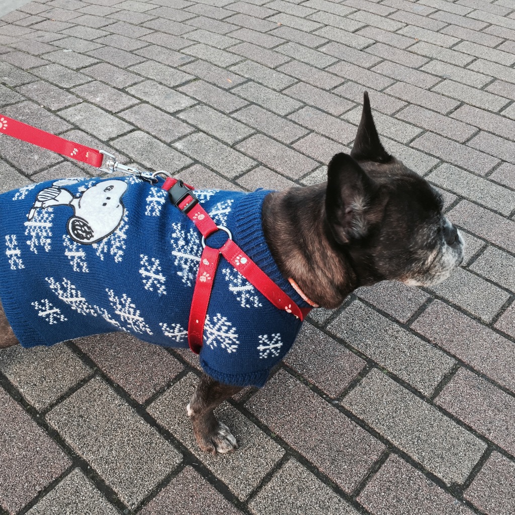 ど(胴)〜〜〜〜ダッ(＾ｰ^)ノ