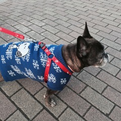 ど(胴)〜〜〜〜ダッ(＾ｰ^)ノ