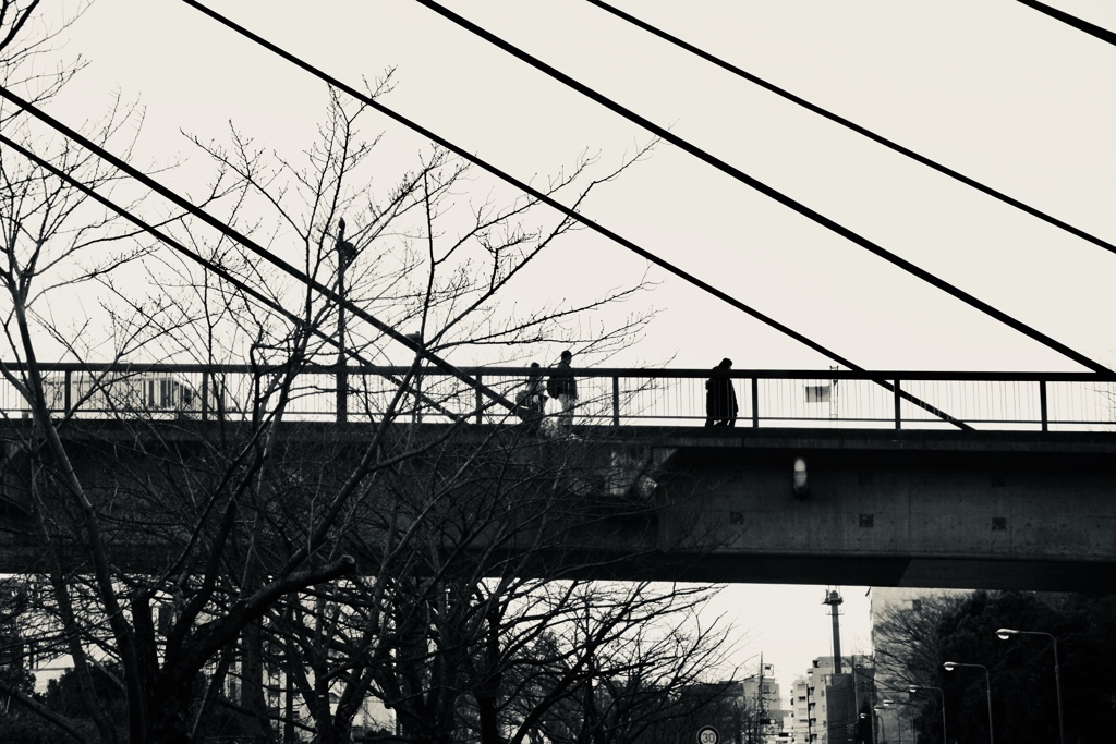 冬の架け橋