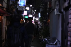 揺り籠めぐり
