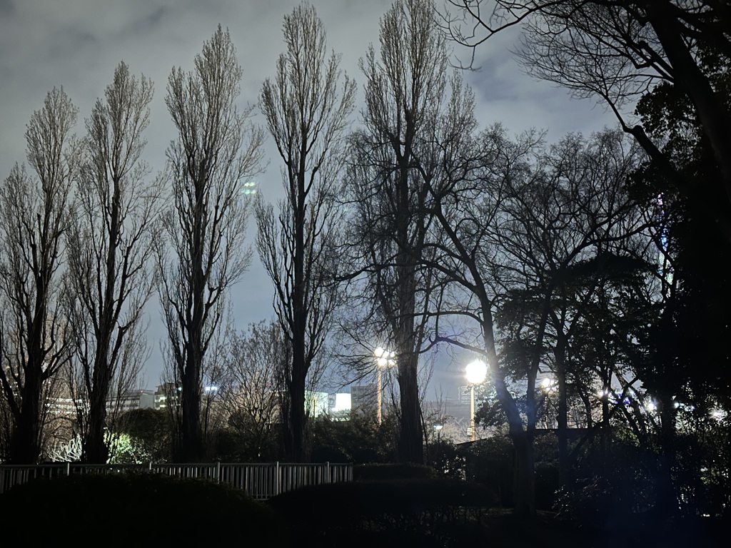 sunday evening,8 p.m.