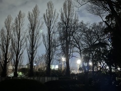 sunday evening,8 p.m.