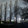 sunday evening,8 p.m.