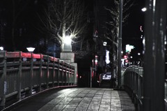 夜の橋