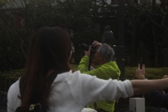 コンセントレーション