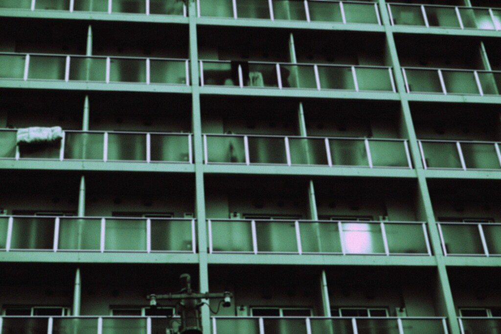 a hazy shade of winter