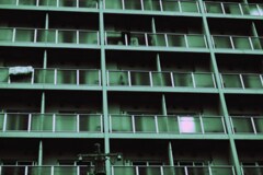 a hazy shade of winter