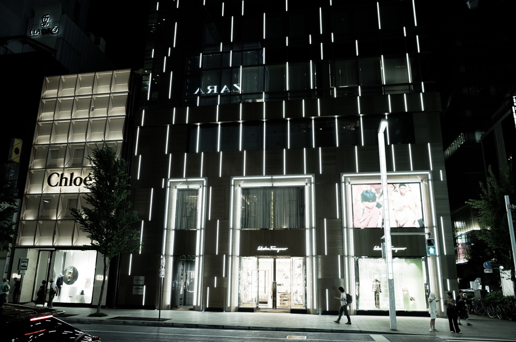 ひかりの伝言たち