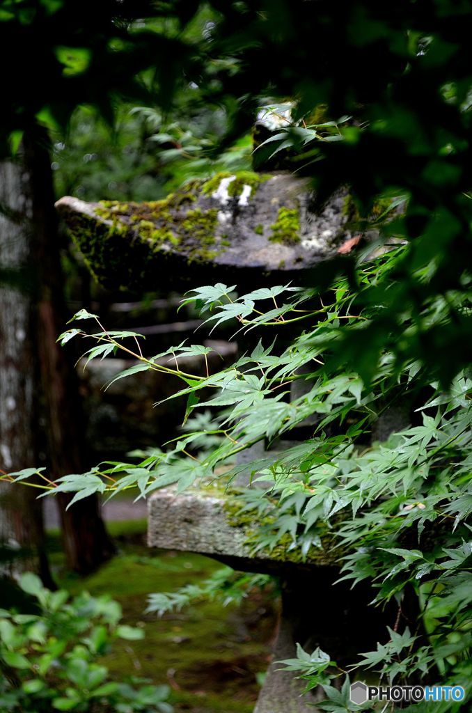 竹林寺